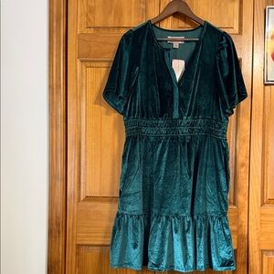 French Connection Green Velvet Dress